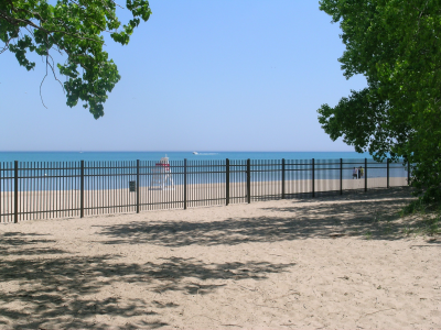 Custom Built Fence & Deck Image